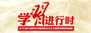 学习进行时